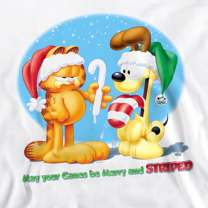 Actual product image Garfield Unisex Adult Merry And Striped Sweatshirt (S)