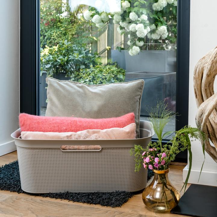 Immagine prodotto Rotho Brezza (41 l)