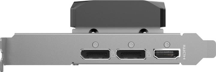 Actual product image Zotac GeForce RTX 5060 Low Profile (8 GB)