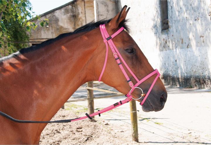 Produktbild TdeT Biotack®