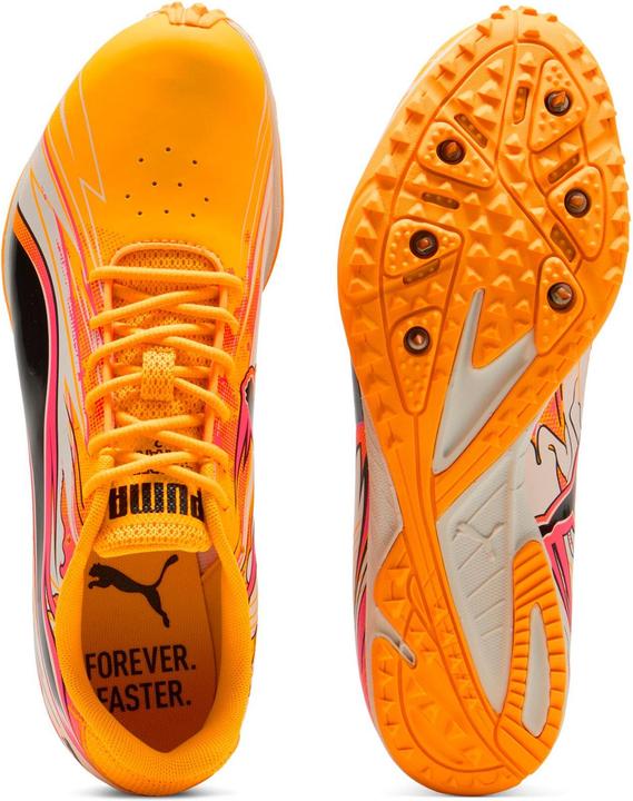 Image du produit Puma evoSPEED Haraka Sparked (39.5)