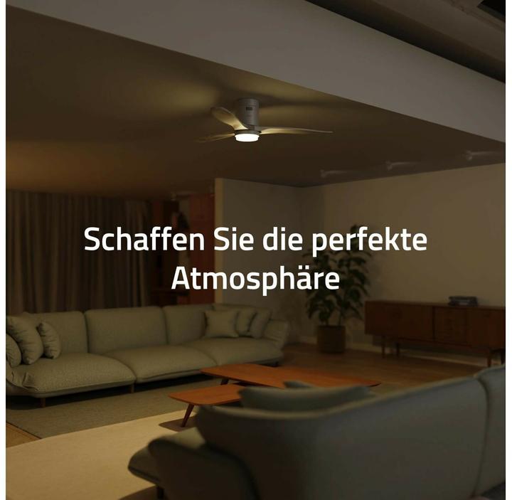 Actual product image Hombli Deckenventilator mit Licht (43 dB)