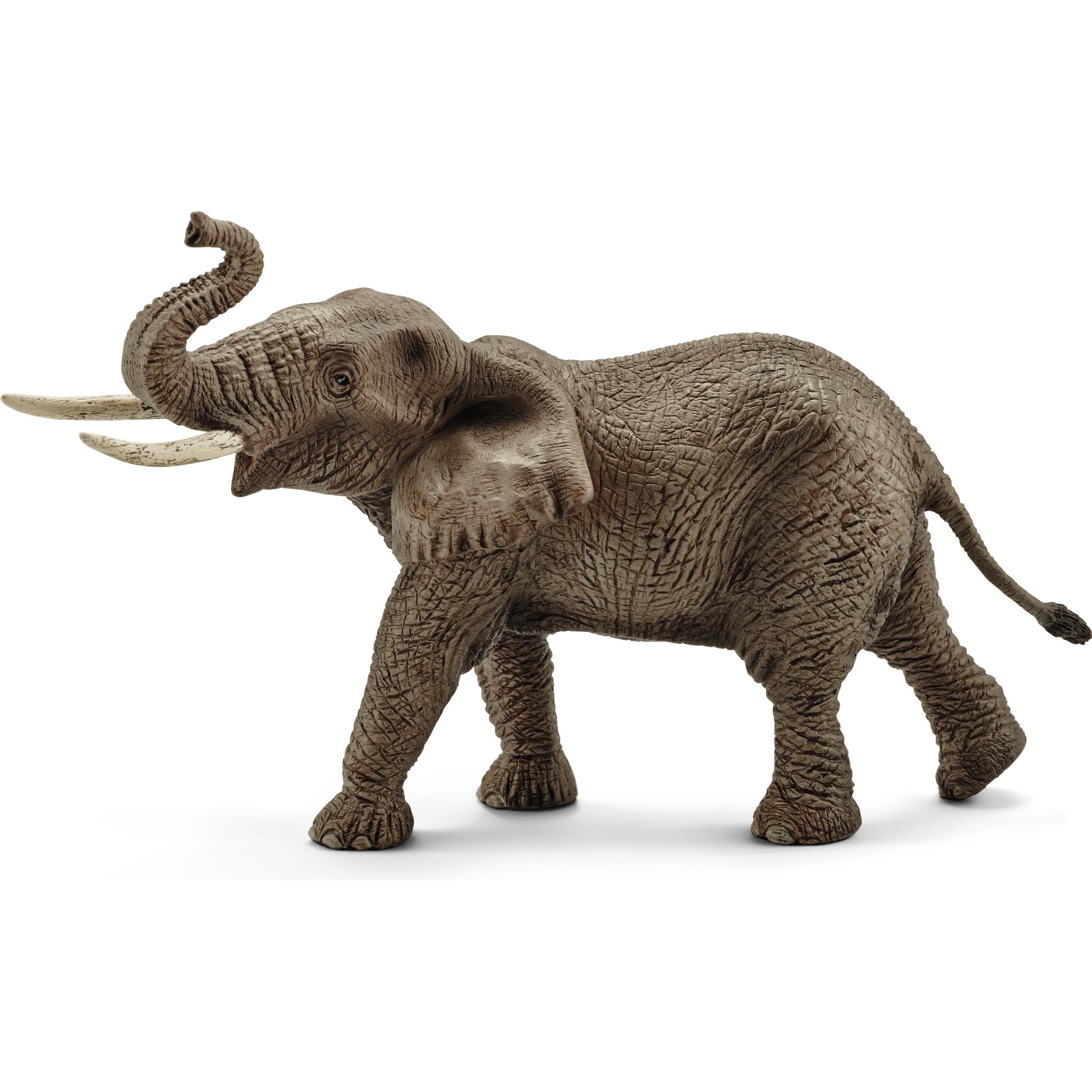 Schleich Elefant