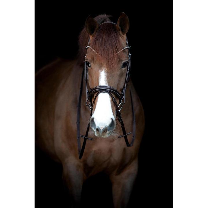 Image du produit Catago Brooklyn