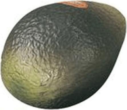 Actual product image Remo Fruit Shaker Avocado (Shaker)