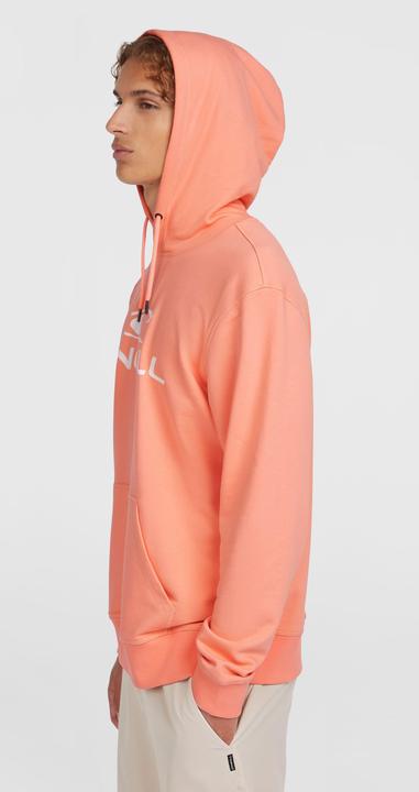 Actual product image O'Neill Logo Hoodie (S)