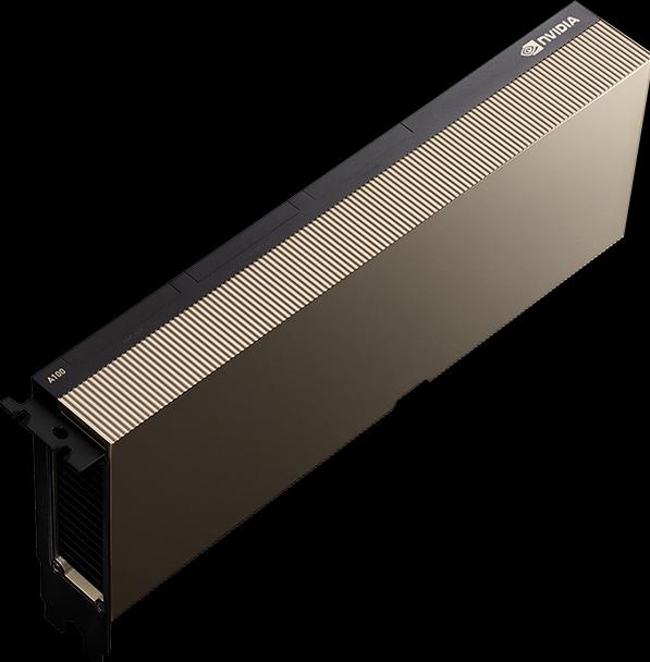 Actual product image PNY NVIDIA A100 Modul 80GB HBM2+++ (80 GB)
