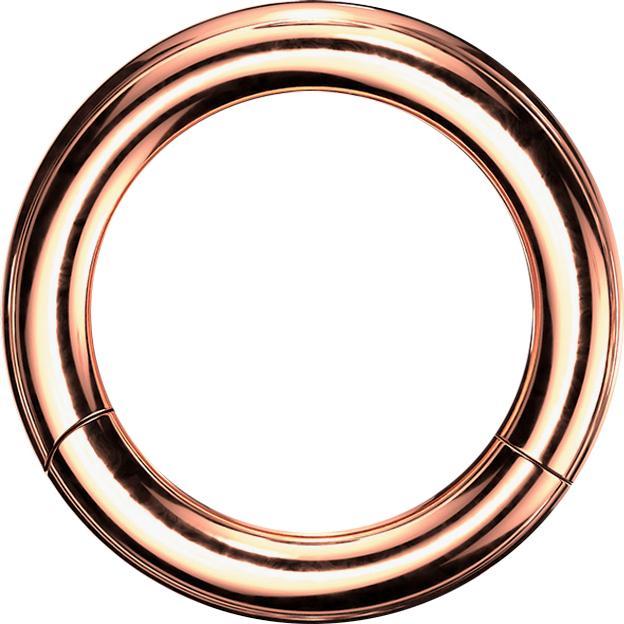 Immagine prodotto Star Piercing Anello a segmenti con cerniera in oro rosa (senza ottone, Acciaio chirurgico 316L)
