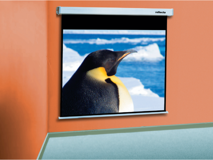 Actual product image Reflecta CrystalLine (106.30", 16:9)