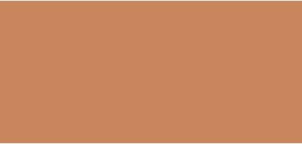 Actual product image Bobbi Brown Skin Long-Wear Concealer Stick & Corrector Stick (Deep Peach)