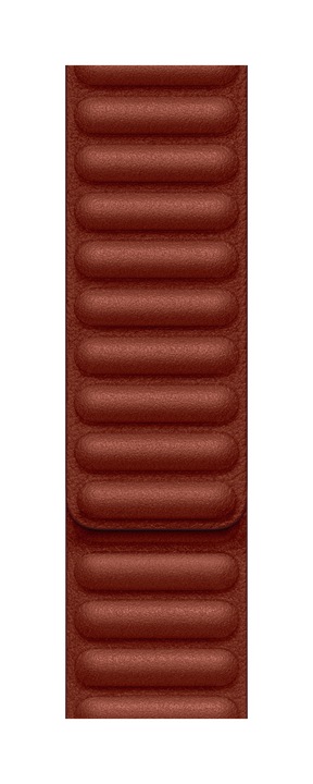 Image du produit Apple Lien en cuir (41 mm, Cuir, Apple Watch Series 8)
