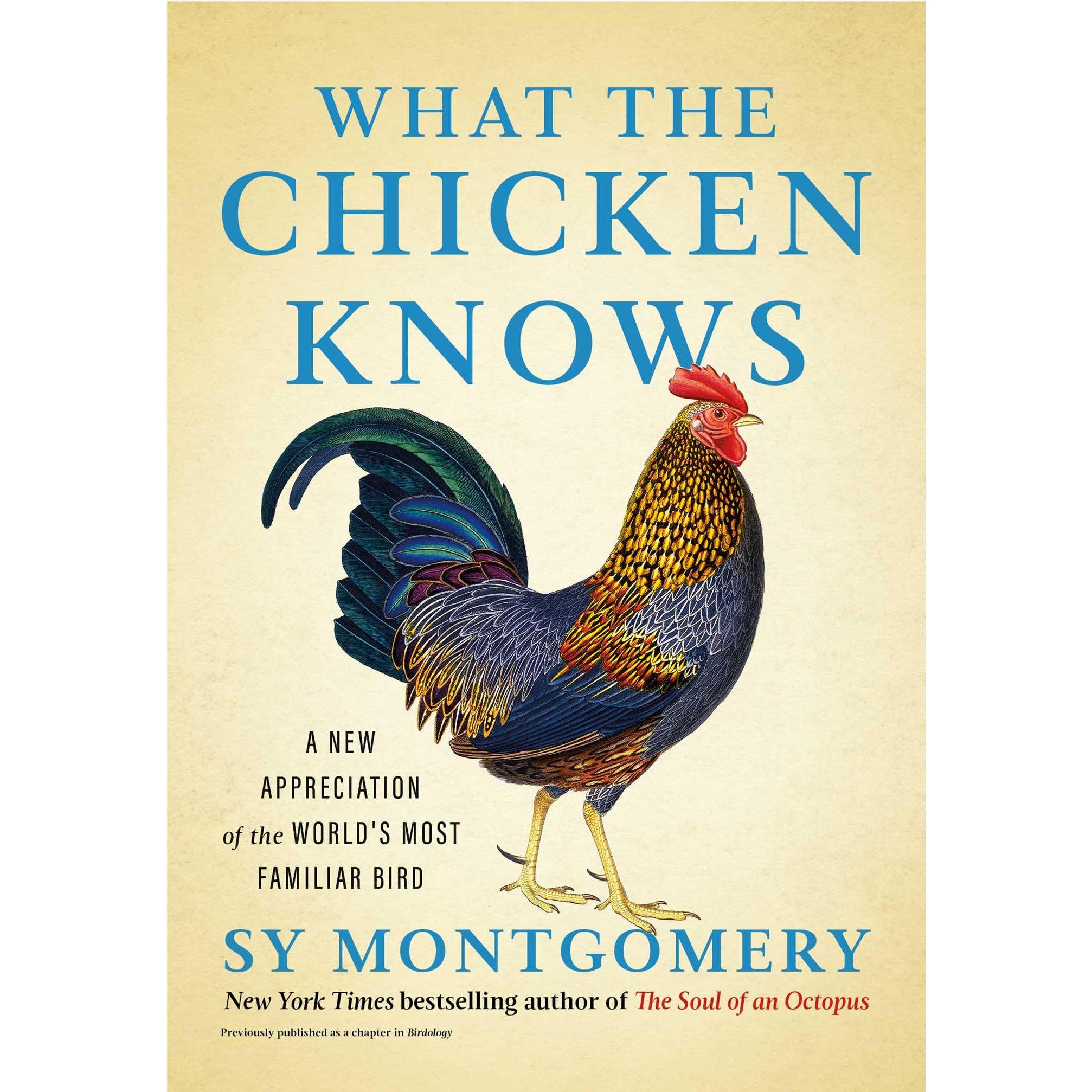 Montgomery:What the Chicken Knows, Kinderbücher von Sy Montgomery