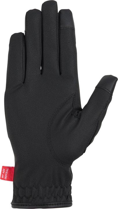 Immagine prodotto Imperial Riding The Basics (XXL)