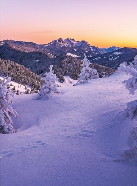 Immagine prodotto Swiss Planer 2026