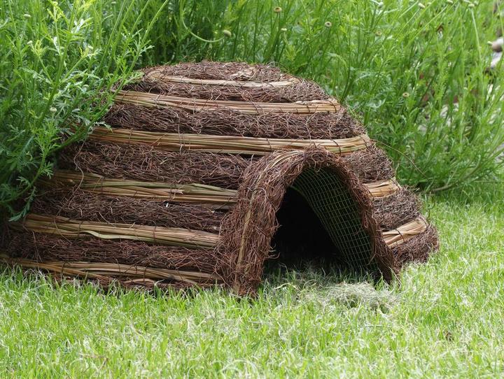 Produktbild Wildlife World Iglu