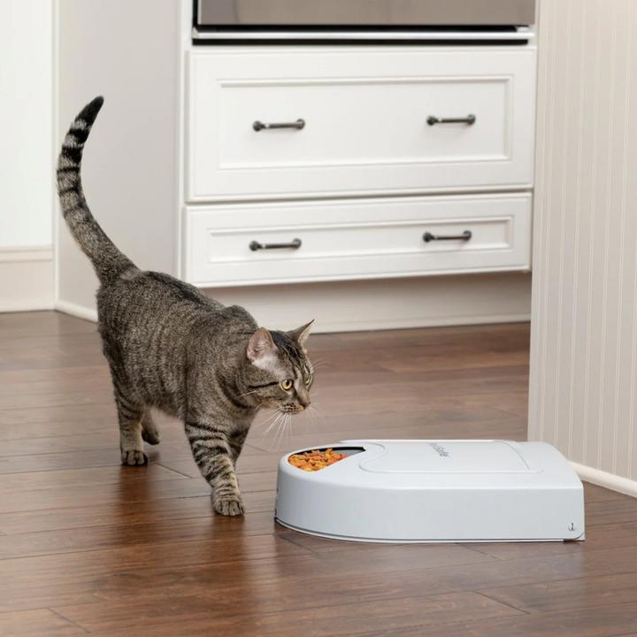 Produktbild PetSafe Futterautomat (0.20 l)