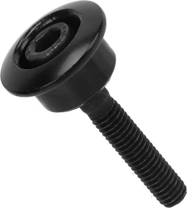 Actual product image Avizar Fork mounting bolt