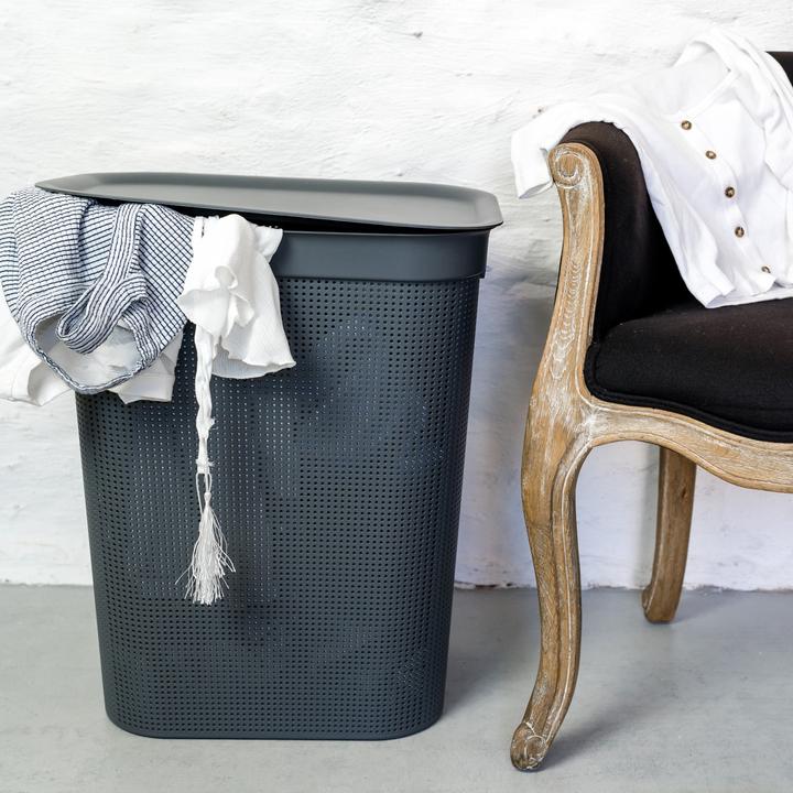 Immagine prodotto Rotho Breezes 1 (50 l)