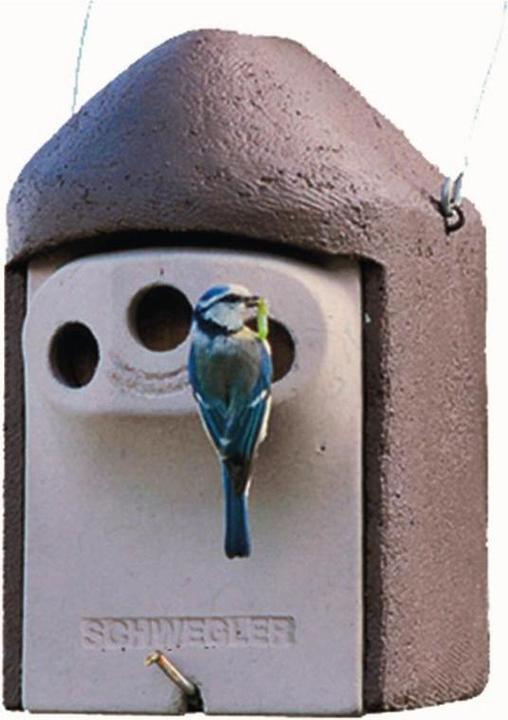 Actual product image Schwegler 221/1 Nesting box 2GR Three-hole 27 mm