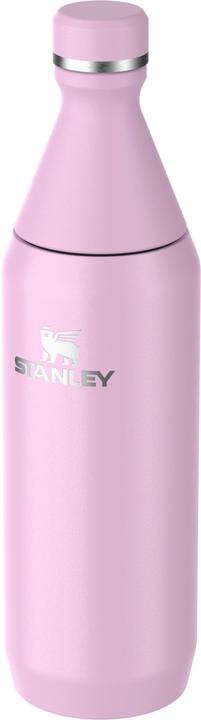 Actual product image Stanley 1913 Flasche All Day Slim 0.6L Cherry (0.60 l)