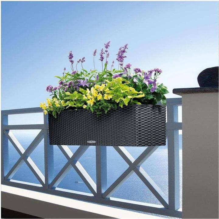 Productafbeelding Lechuza Balconera Kleur (79 x 19 x 19 cm)