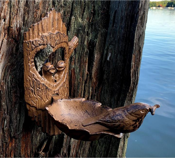 Immagine prodotto HTI-Line Vasca per uccelli