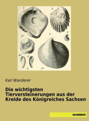 Produktbild Die wichtigsten Tierversteinerungen aus der Kreide des Königreiches Sachsen (Deutsch, Karl Wanderer, 2013)