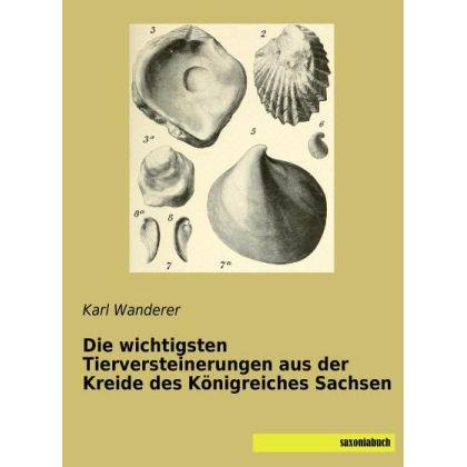 Die wichtigsten Tierversteinerungen aus der Kreide des Königreiches Sachsen, Fachbücher von Karl Wanderer