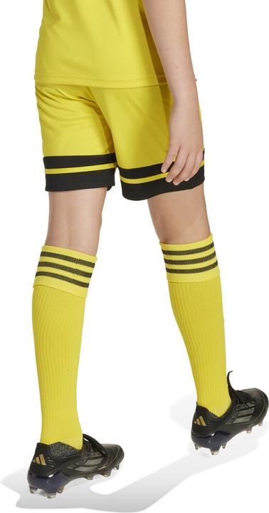 Produktbild adidas Squadra 25 Short Kids (176)