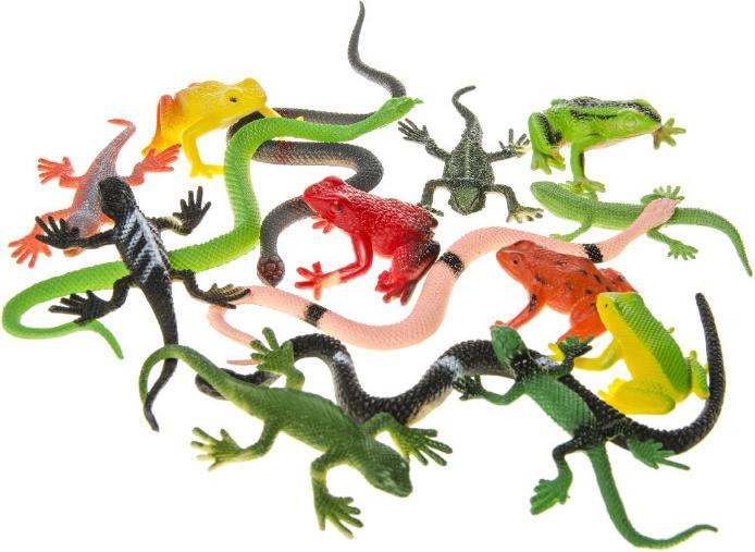 Actual product image LG-Imports Reptiles