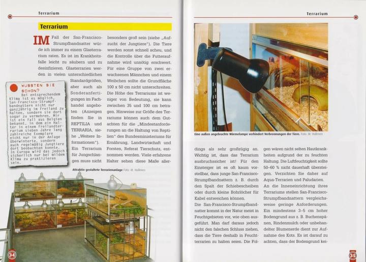 Immagine prodotto Die San-Francisco-Strumpfbandnatter (Tedesco, Martin Hallmen, 2007)