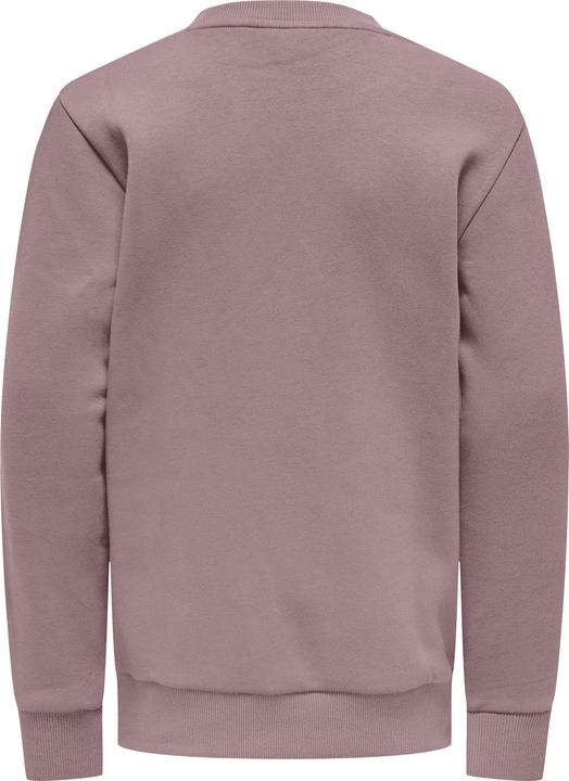 Produktbild Only & Sons Junior OSJCERES Sweatshirt Sweatshirt (146, 152)