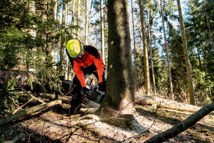 Produktbild Metabo MS 36-18 LTX BL 40 (Akku Kettensäge)