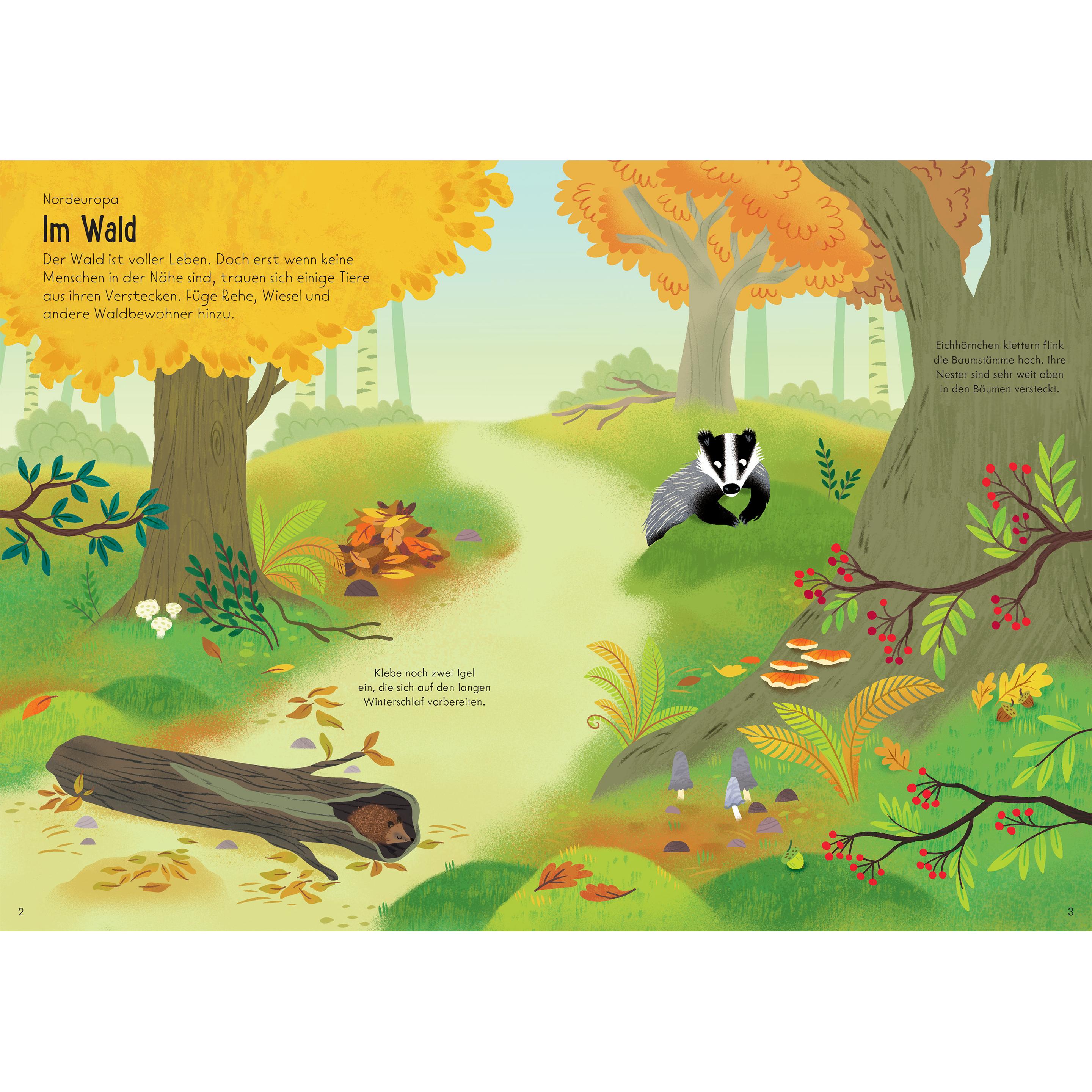 Thumbnail - Usborne Publishing, Sticker, Mein Immer-wieder-Stickerbuch: Tiere der Welt