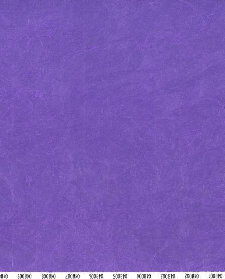 Produktbild FT Kontrollbänder Tyvec (1000 Stk.)