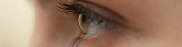 Actual product image Sony FE 70-200mm f/4 Macro G OSS II (Sony E, full size, APS-C / DX)