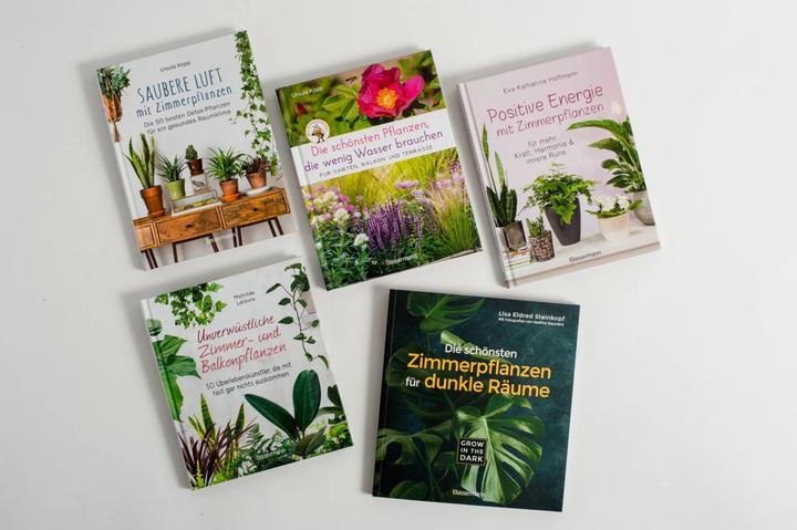 Produktbild Positive Energie mit Zimmerpflanzen - 86 Energiepflanzen für mehr Kraft, Harmonie und innere Ru (Deutsch, Eva Katharina Hoffmann, 2019)