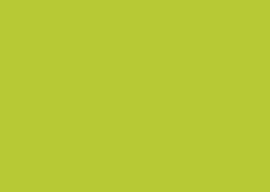 Immagine prodotto Clairefontaine Carta universale Trophée colorata (80 g/m², A4)