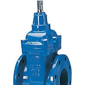 AVK, Ventil, Flanschventil DN50, - PN16, GGG-50