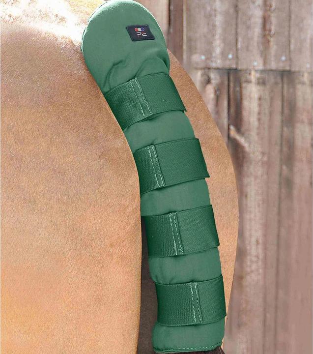 Produktbild Premier Equine Stay-Up (One Size)
