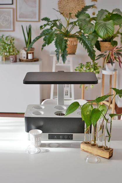 Image du produit Ledvance Lampe LED pour plantes Indoor Garden KIT Pro 360 BK 355mm 230V LED fixe 24W Naturwe... (LED, 240 V)