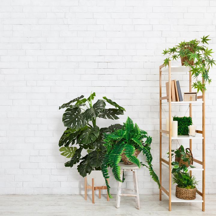 Image du produit Relaxdays Support pour plantes