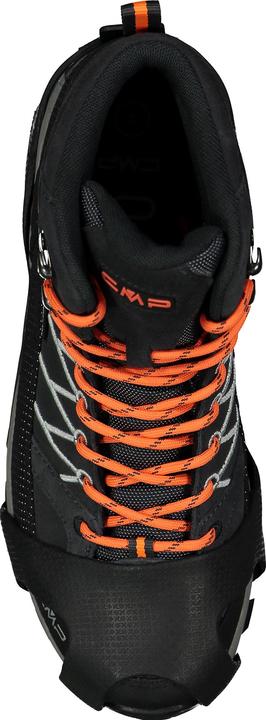 Produktbild CMP Campagnolo CMP Spikes