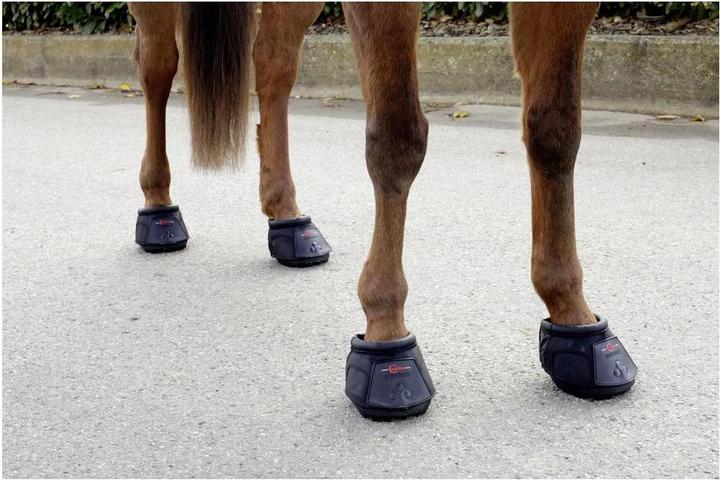 Image du produit Covalliero Chaussure à sabot (seule)