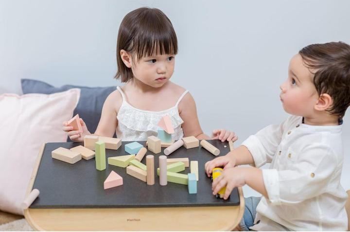 Actual product image Plantoys 40 wooden blocks pastel