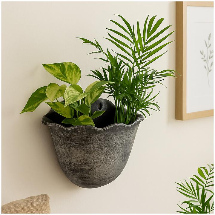 Produktbild HTI-Living Pflanzschale Nessa Muschel Wandmontage (26 cm)