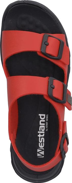 Actual product image Westland 19806-481 (42)