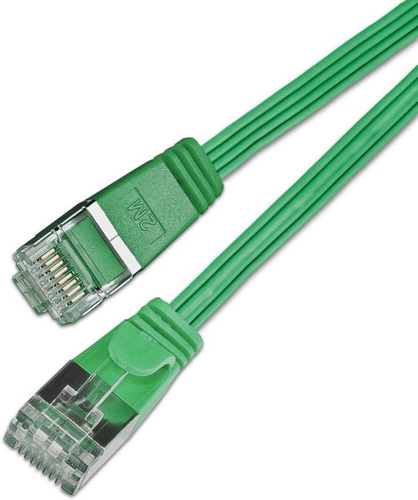 Image du produit Lightwin Câble de réseau (STP, CAT6, 0.25 m)