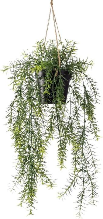 Immagine prodotto Emerald Kunstpflanze (50 cm)