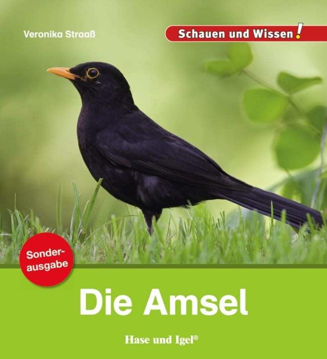 Produktbild Die Amsel / Sonderausgabe (Deutsch, Veronika Straaß, 2021)